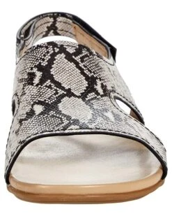 Naturalizer Women Sandals Nxtgen-Scout, Alabaster Snake 13 Naturalizer Women Sandals Nxtgen-Scout, Alabaster Snake -NATURALIZER Sales 61wmD2DrVHL. AC SR736920